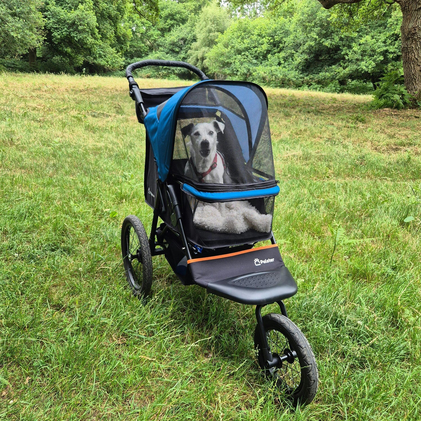 Palster Explorer All Terrain Dog Stroller – Durable Pet Pushchair Black & Harbour Blue