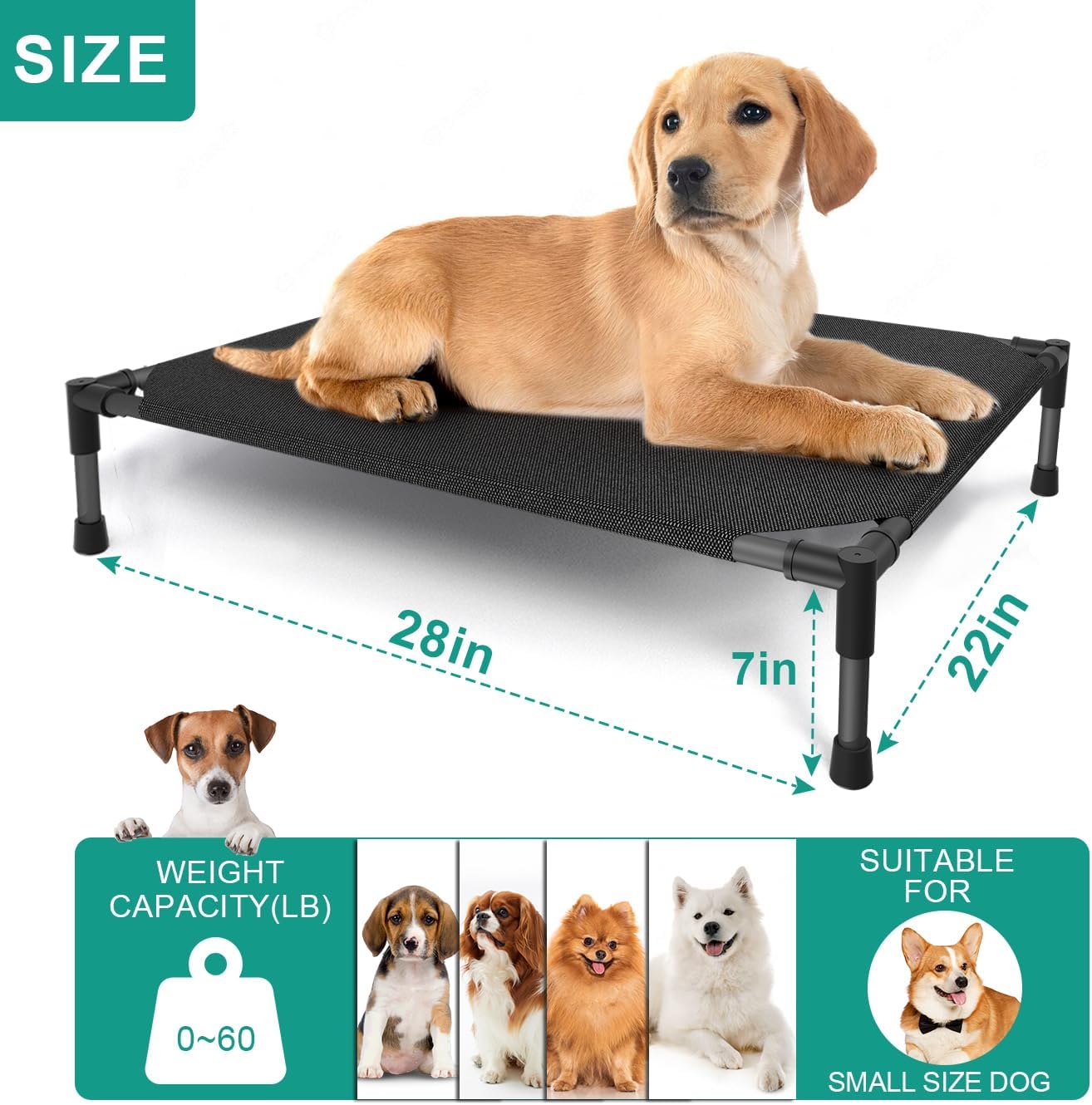 Medium Elevated Dog Bed (32x25x8in) – Raised Outdoor Cot with Waterproof Frame, Breathable Mesh, Anti-Slip Base & Portable Design – Supports Dogs Up to 80 lbs – Black