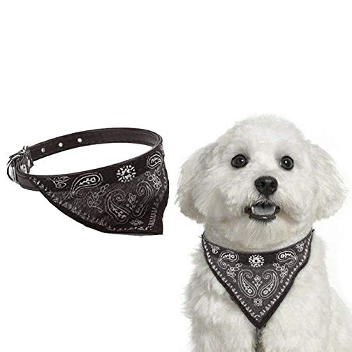 Stylish Pet Bandana Collar for Small Dogs & Cats – Lightweight & Comfortable – Black